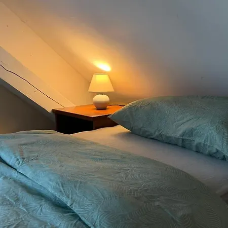 Besonders Geeignet Für Monteure Und Größere Gruppen Apartment Halle (Saale)