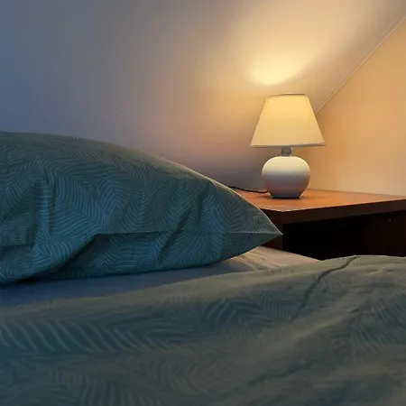 Besonders Geeignet Für Monteure Und Größere Gruppen Apartment Halle (Saale)