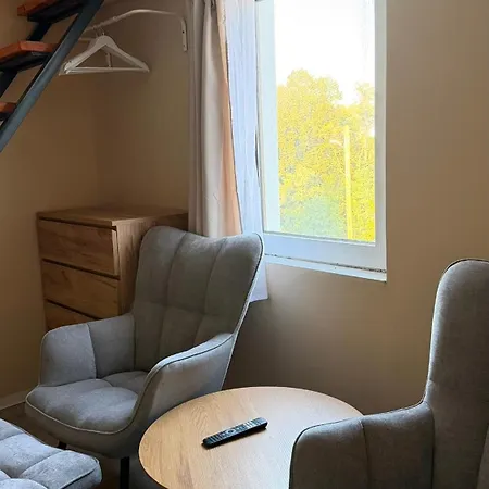 Apartment Besonders Geeignet Für Monteure Und Größere Gruppen Halle (Saale)