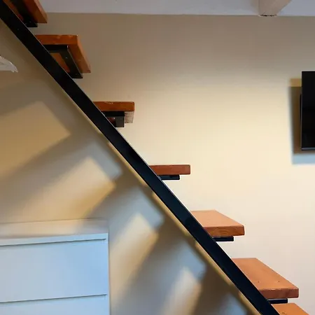 Apartment Besonders Geeignet Für Monteure Und Größere Gruppen Halle (Saale)