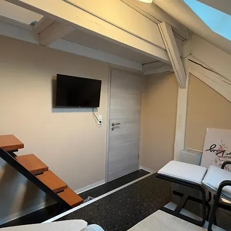 Besonders Geeignet Für Monteure Und Größere Gruppen Apartment Halle (Saale)