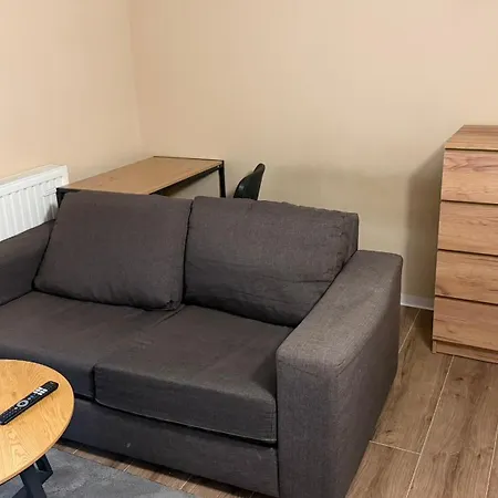 Apartment Besonders Geeignet Für Monteure Und Größere Gruppen Halle (Saale)